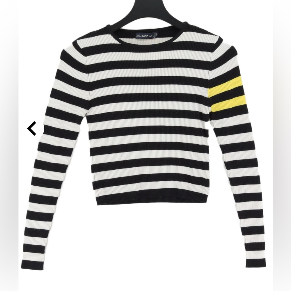Zara Ribbed Knit Cropped Sweater